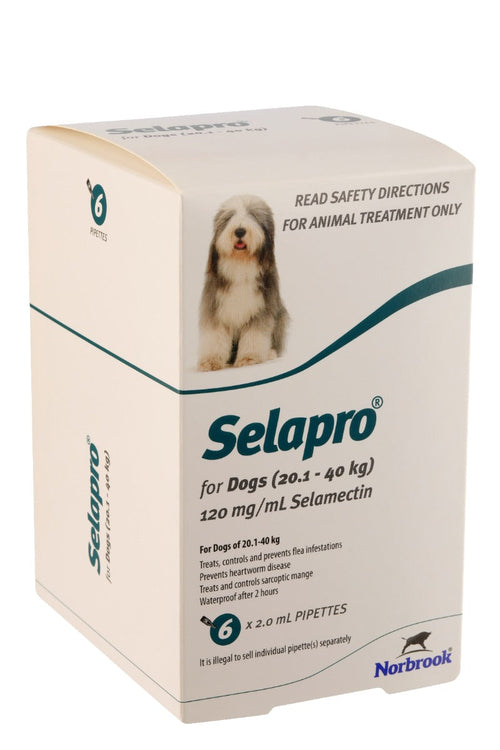 Selapro Flea & Heartworm Spot On Treatment For Dog Weighing  20.1-40kg