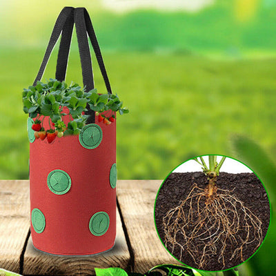 Strawberry Grow Bag Nonwoven Fabric Vertical Jardin Garden