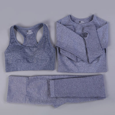 2/3PCS Seamless Women Workout Sportswear