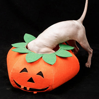 Pet Halloween Pumpkin Collars Cute Pet Cosplay Accessories