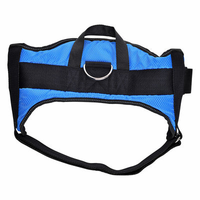 Dog Harness Hearts & Homies Blue Size S