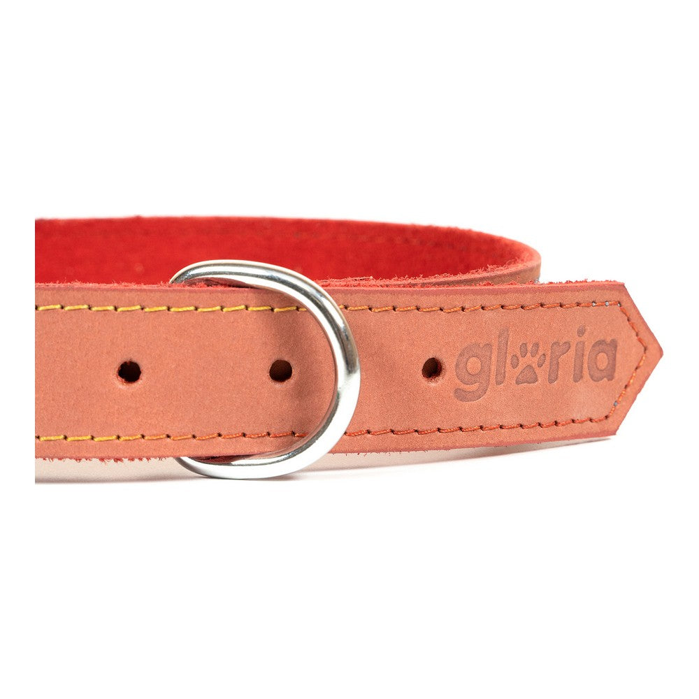 Dog collar Gloria Oasis Red (55 x 2,5 cm)