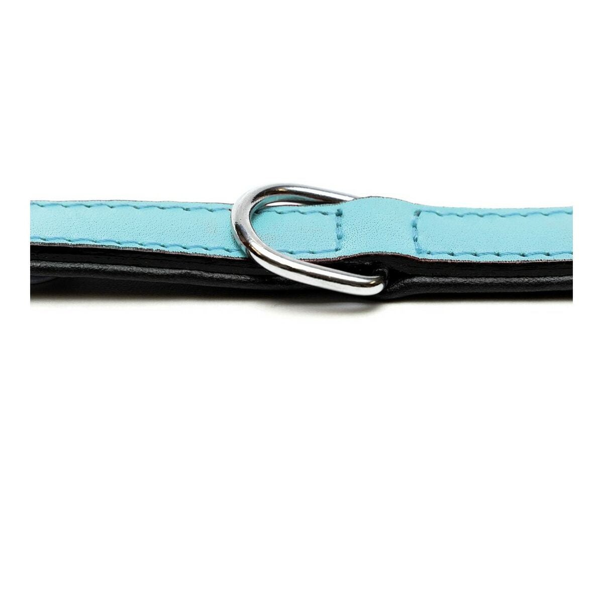 Dog collar Gloria Padded Blue (50 x 2,5 cm)