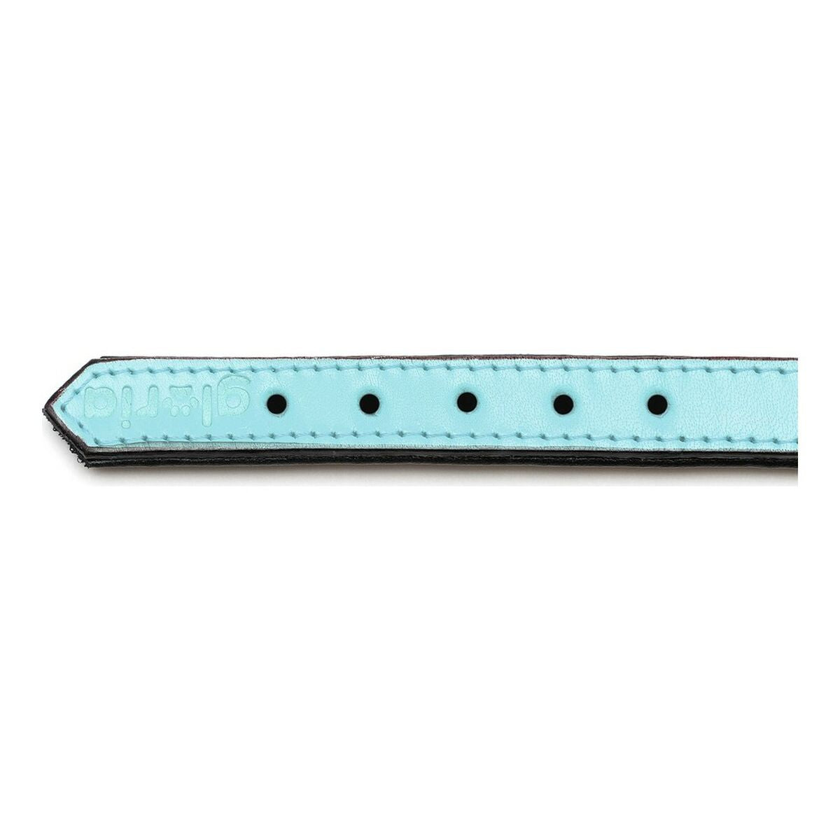 Dog collar Gloria Padded Blue (50 x 2,5 cm)