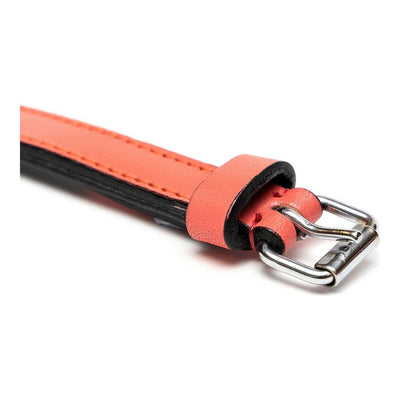 Dog collar Gloria Padded Coral (55 x 2,5 cm)