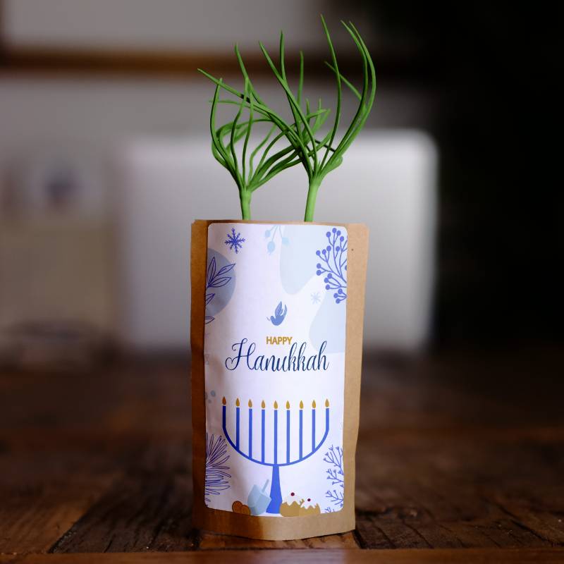 Happy Hanukkah Candles Blue Growing Kit