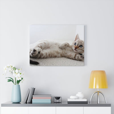 Adorable Cat Canvas Gallery Wall Art