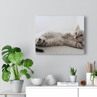 Adorable Cat Canvas Gallery Wall Art