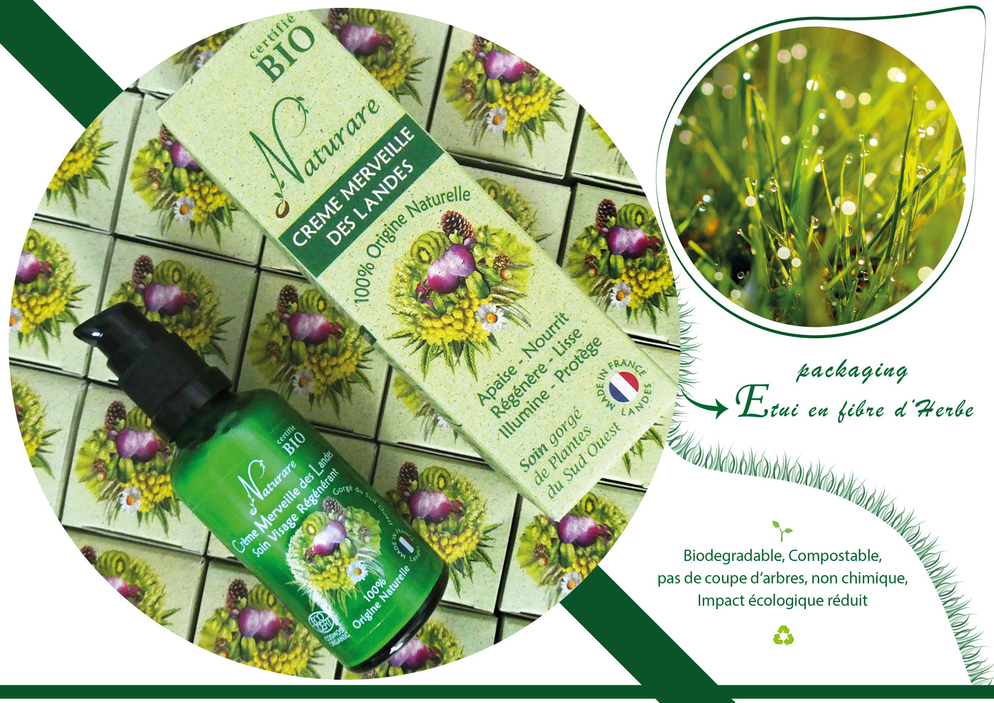 Organic Wonder Cream of French Landes, Integral Regeneration Nutrition