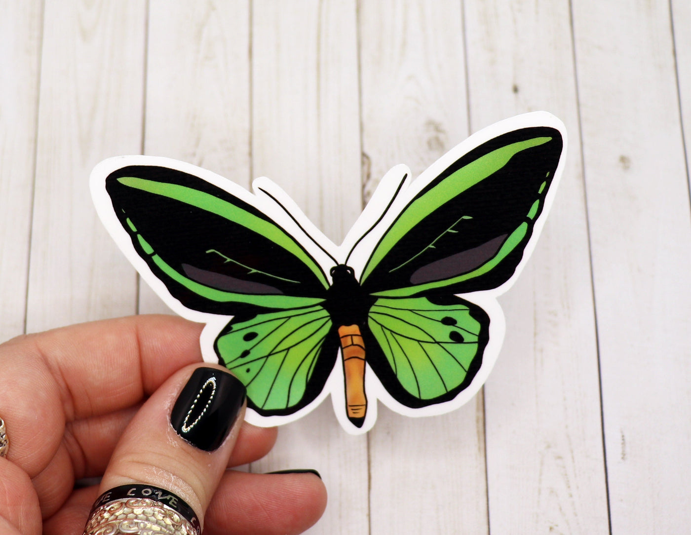 Green Butterfly Sticker